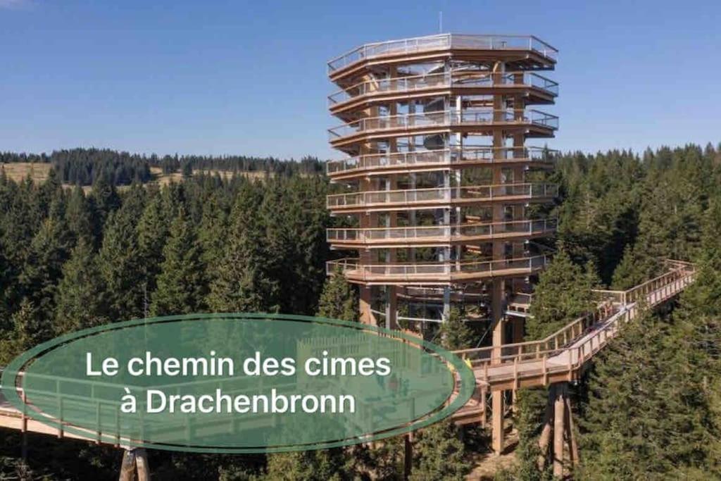 Gite Classe 4 Etoiles  La Maison Du Tonnelier Oberbronn Ngoại thất bức ảnh