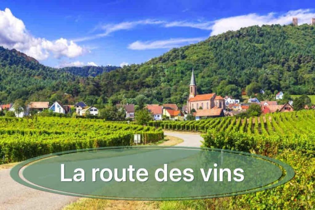 Gite Classe 4 Etoiles  La Maison Du Tonnelier Oberbronn Ngoại thất bức ảnh