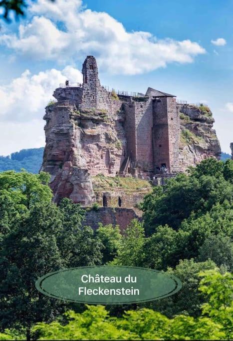 Gite Classe 4 Etoiles  La Maison Du Tonnelier Oberbronn Ngoại thất bức ảnh
