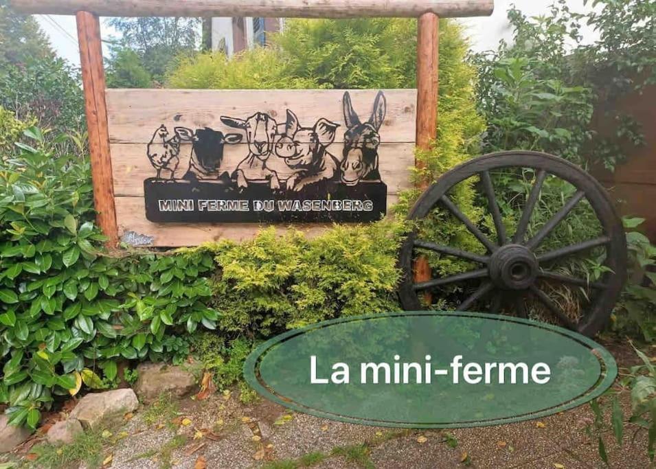Gite Classe 4 Etoiles  La Maison Du Tonnelier Oberbronn Ngoại thất bức ảnh
